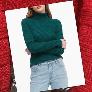 Ribbed turtleneck sweater